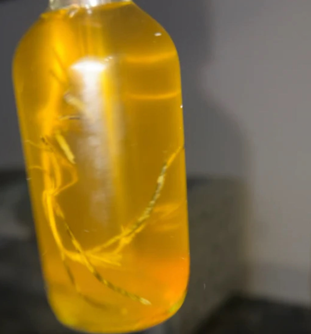 Parasite Cleanse Drops