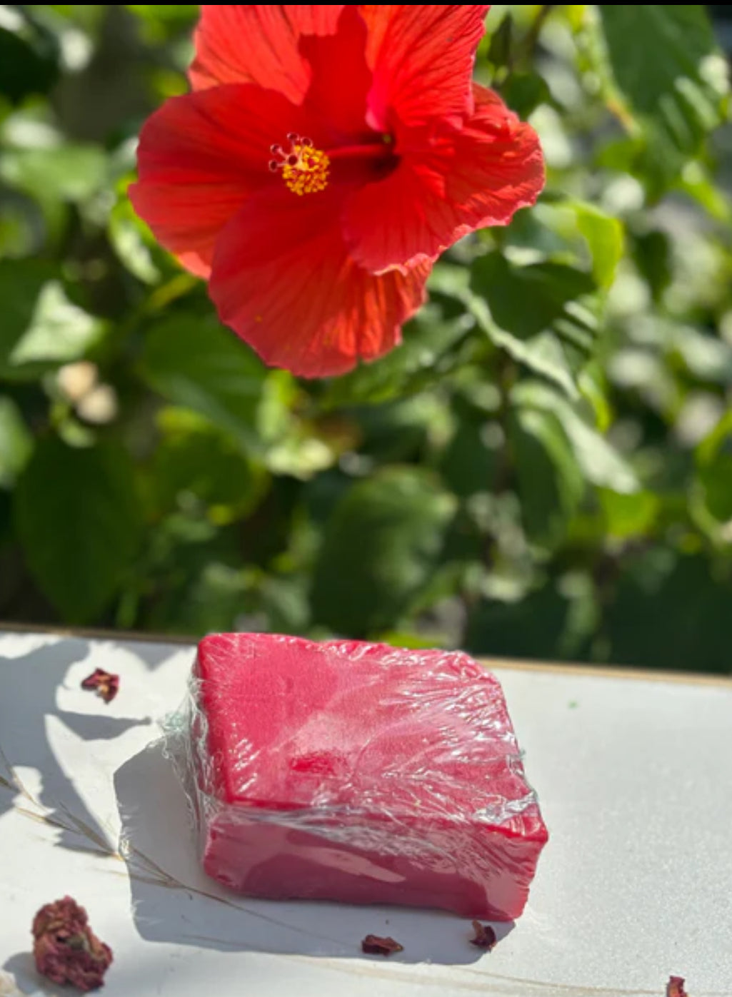 Pomegranate Bar Soap