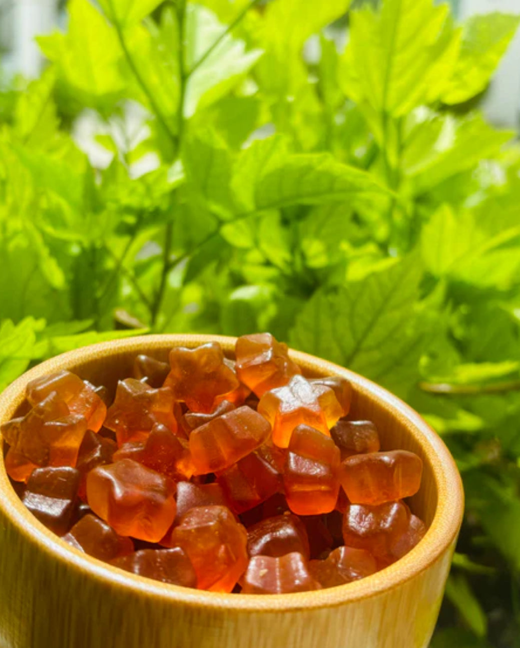 Vaginal Probiotic Gummies