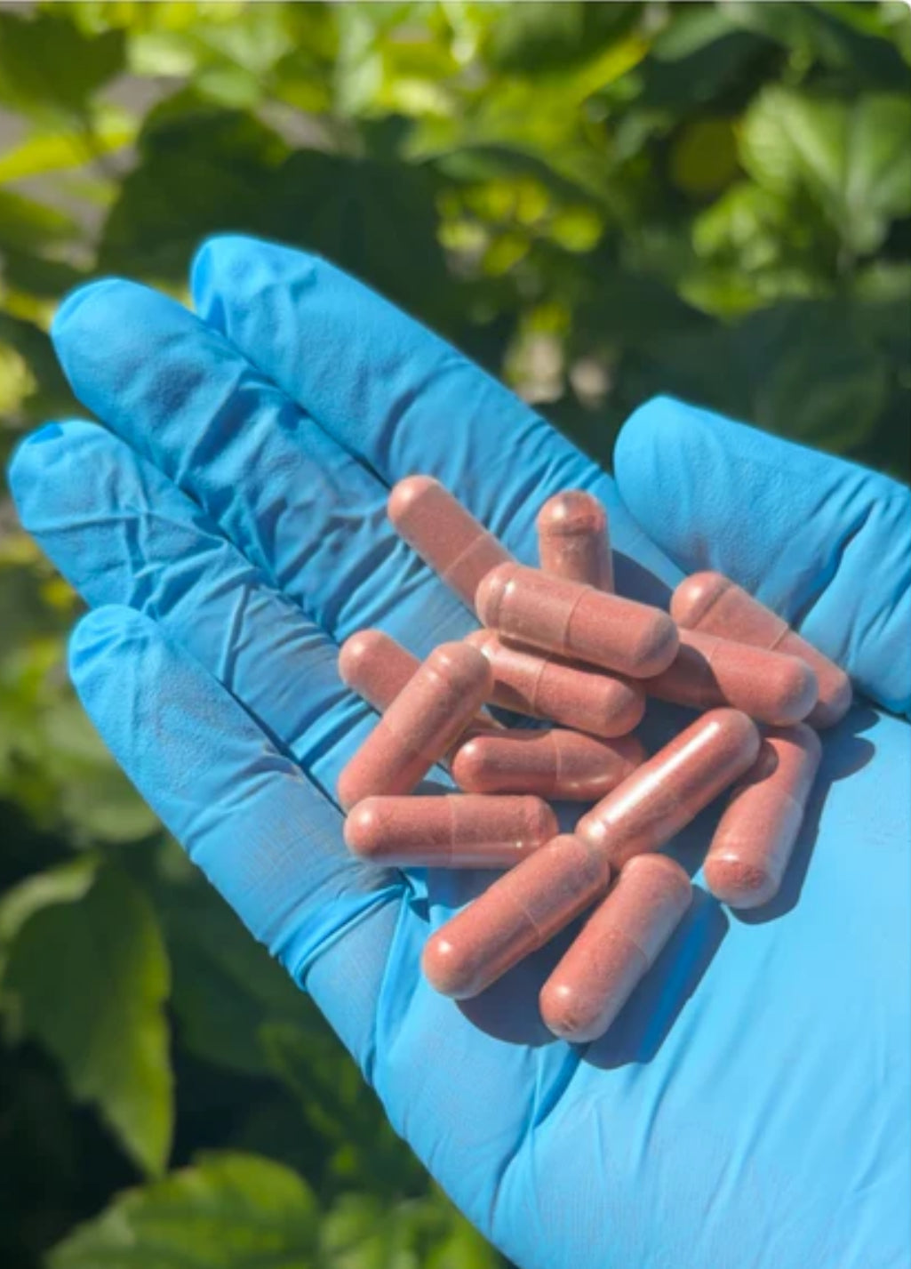 Yeast and Vaginal pH support