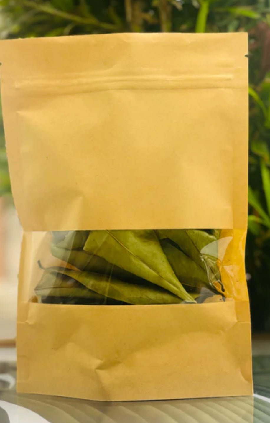 Soursop Leaves