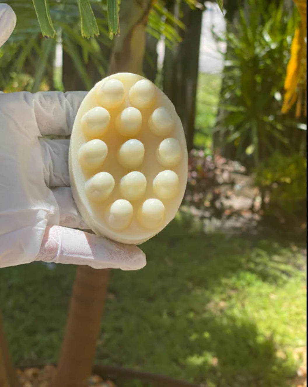 Sea Moss Bar Soap