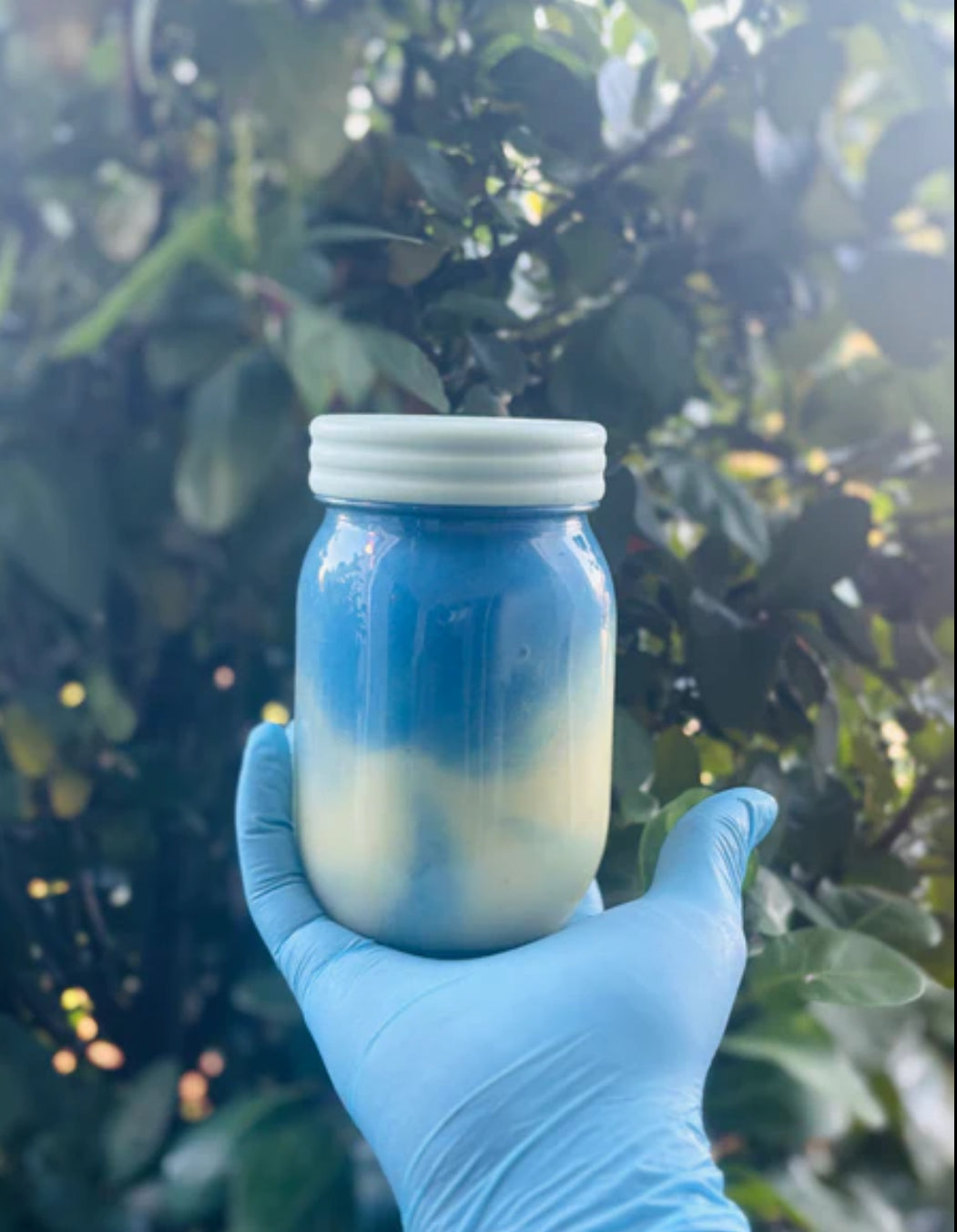 Infused Herbal Gel Vitamins